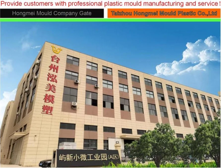China Factory with Nice Quality Plastic Injection Small Household Appliance Hair Dryer Mould