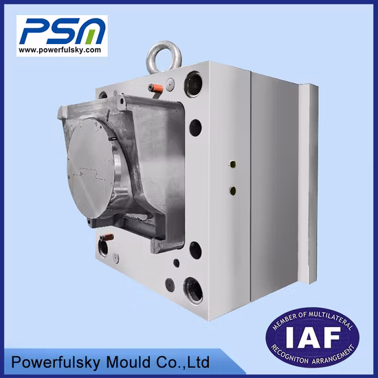 Custom Plastic Hair Dryer Injection Mould for Hair Dryer